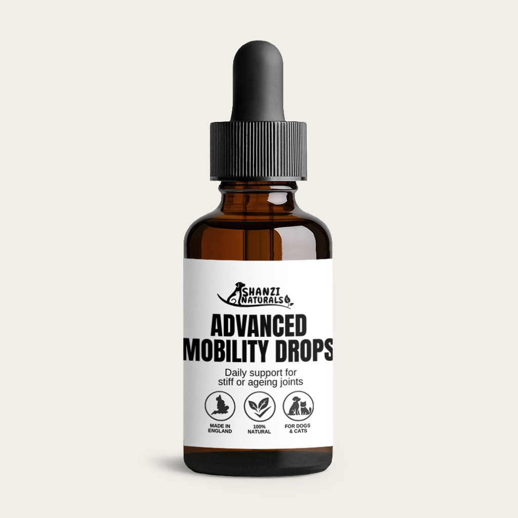 Advanced Mobility Drops – Joint Support for Large Dogs