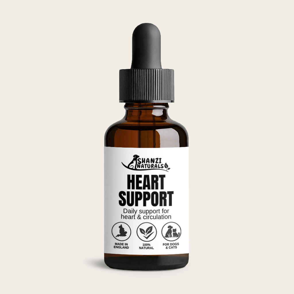 Heart & Cardio Support for Large Dogs