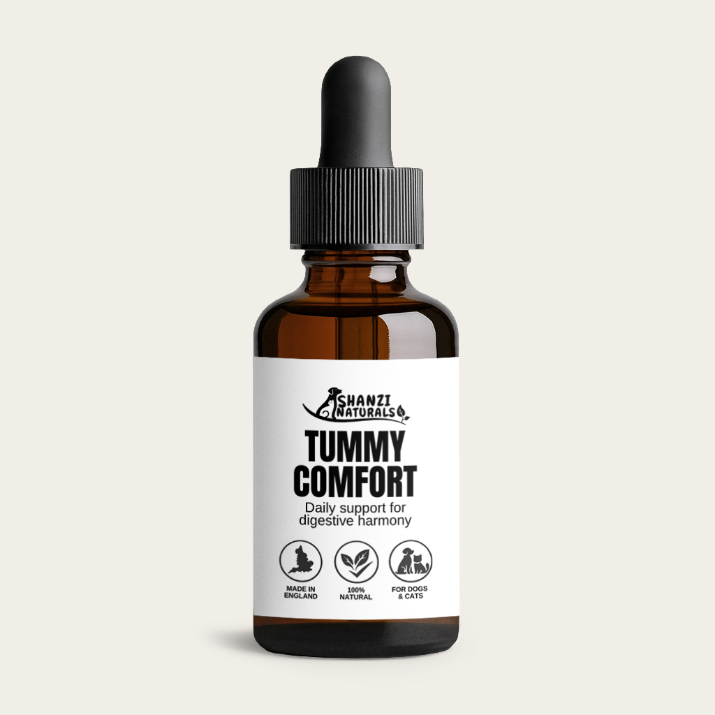 Tummy Comfort – Digestive Support for Large Dogs