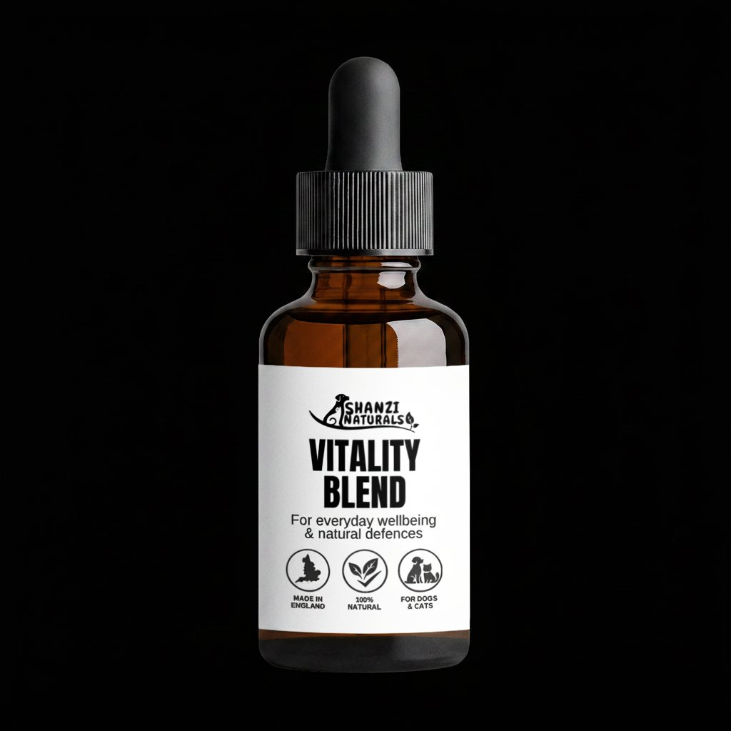 Vitality Blend for Large Dogs on black background