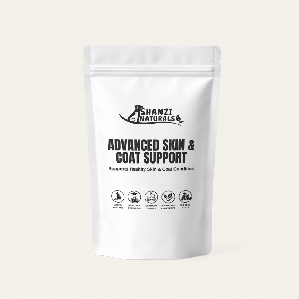 Skin & Coat Support for Large Dogs